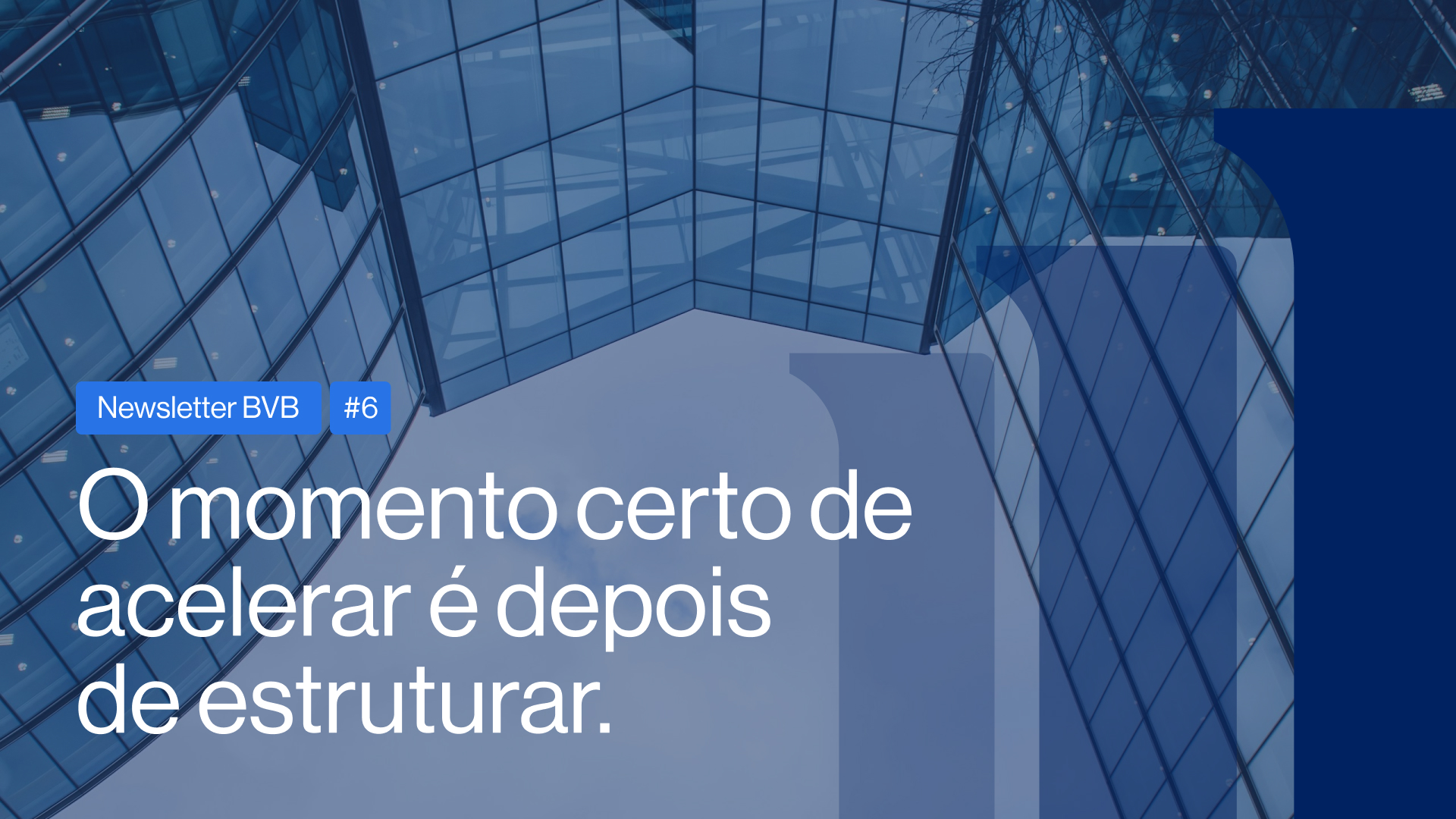 Newsletter BVB #6 | O momento certo de acelerar é depois de estruturar