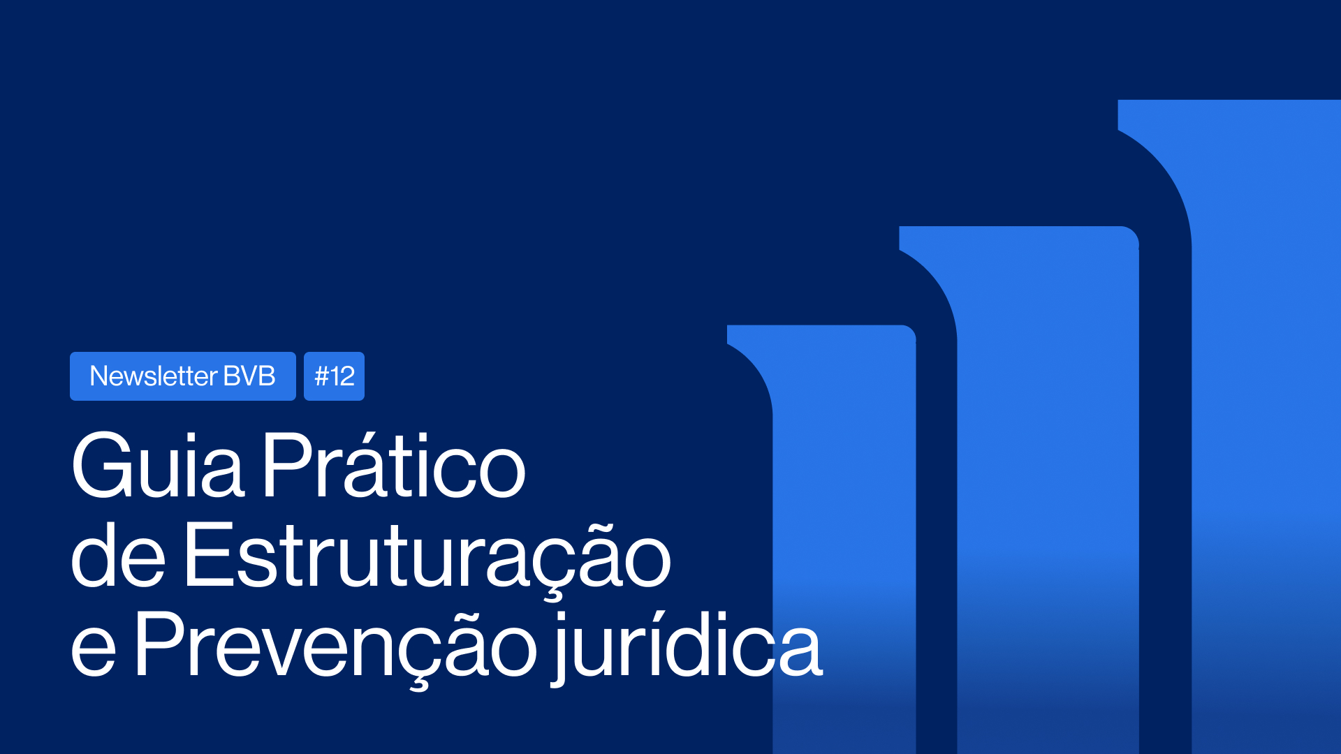 Newsletter BVB #12 | Guia Prático de Estruturação e Prevenção jurídica