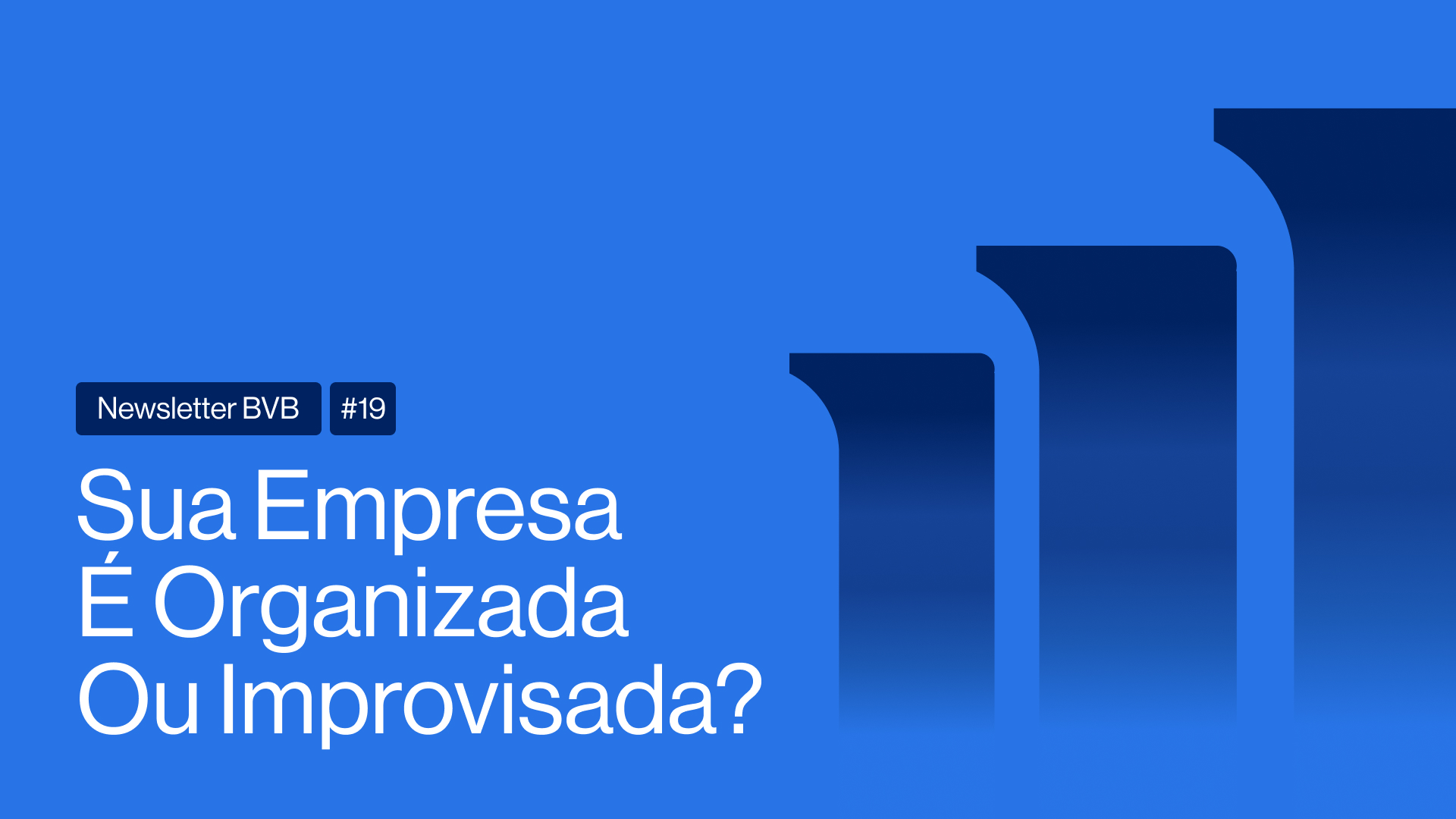 Newsletter BVB #19 | Sua Empresa É Organizada Ou Improvisada?